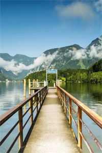 重回订婚前老公选择白月光后悔疯了后续