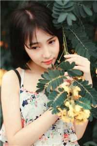 白月光回国后霍总被夫人甩了短剧