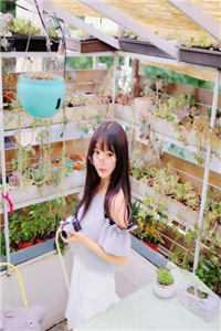 伪人文什么意思