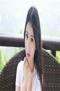 宠物小精灵之重生火箭队