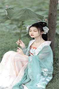 那些年那些兔的事