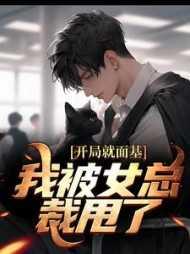 我被女总裁甩了
