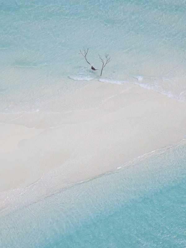 错把明珠当鱼目什么意思