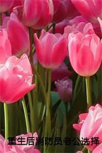 主角重生做消防员的