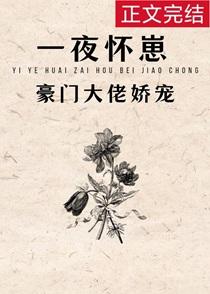 一夜霸总怀了我的崽