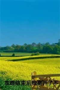 攻略结束后我离开了不爱我的母子全文