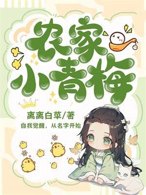农家小青梅没有完结
