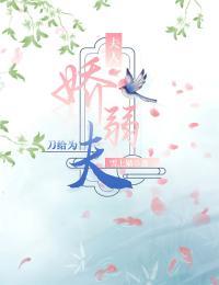 夫人娇悍26章txt