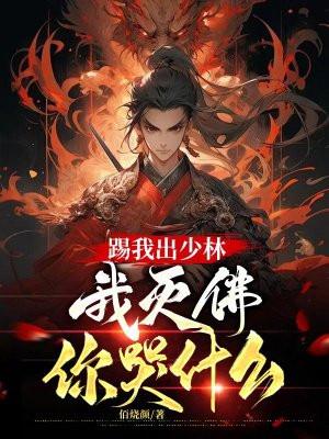 踢我出少林我灭佛你哭什么完本