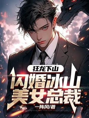 狂龙下山闪婚冰山美女总裁 第491章