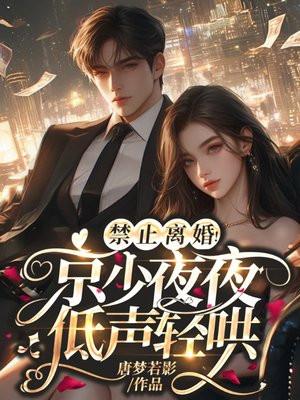 禁止离婚京少夜夜低声轻哄txt