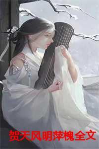 有一个叫贺天的电视剧