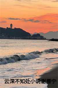 云深不知处谢雁宁大结局