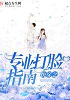 快穿之专业打脸指南免费阅读全文