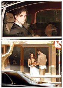 掌上飞花讲的什么内容