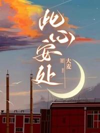 此心安处是吾乡诈骗第几集