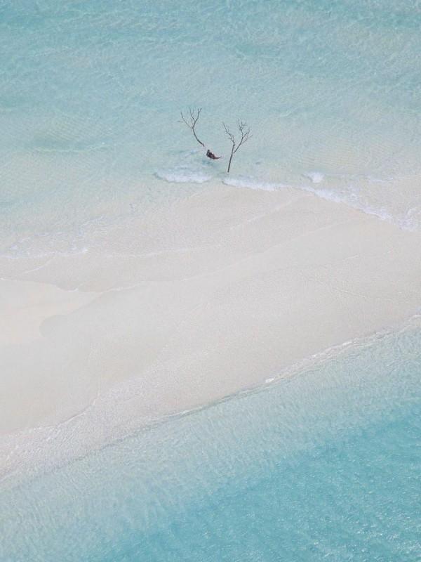 狐媚的女人命好吗