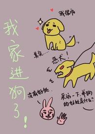 我家来狗好吗