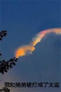 和弟弟打架作文