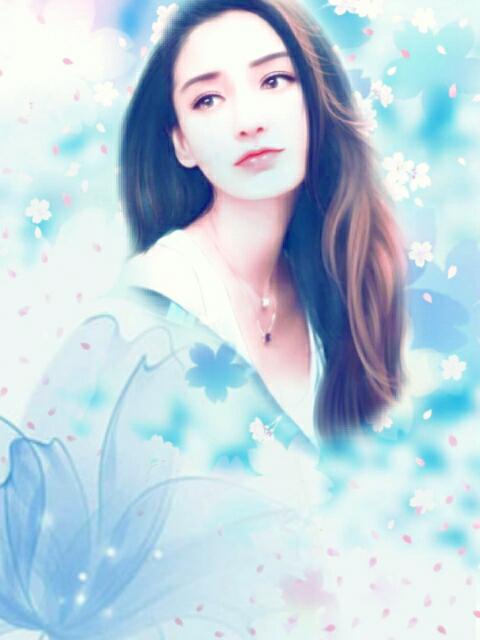 山海与鸟不同路