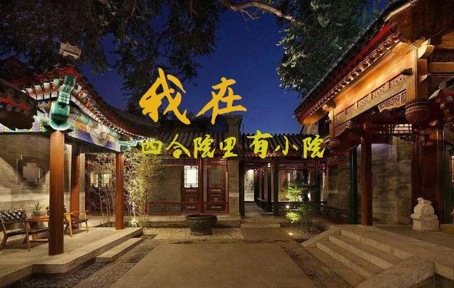 我在四合院里有小院 啤酒喝六斤