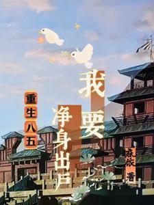 重生八五我要净身出户列表