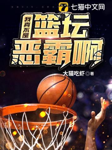 nba我真不是篮坛拳王免费阅读
