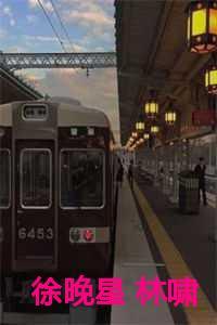 林晚徐迟洲是什么