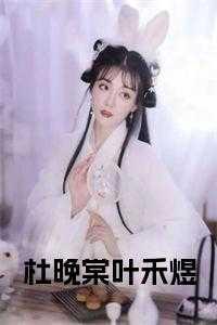 主角是杜晚棠叶禾煜