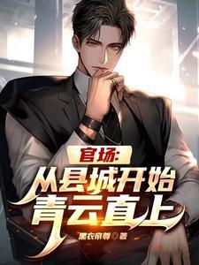 官场从县城开始青云直上王昊