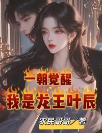 我是龙王叶辰 农民哥哥