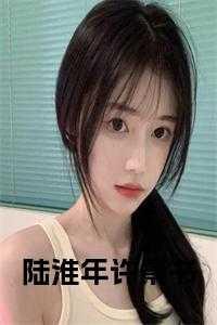 陆淮年许景书后续