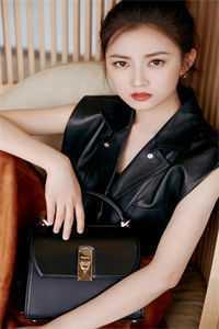 指挥官的心尖宠最新章节