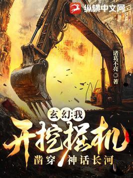 如果我开挖掘机