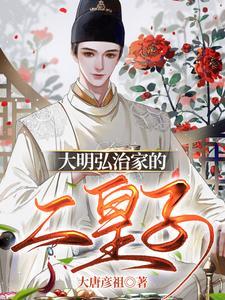 大明弘治家的二皇子txt