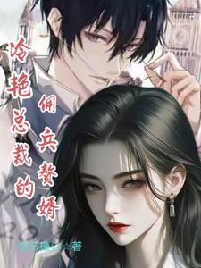 冷艳总裁的佣兵赘婿免费阅读全文