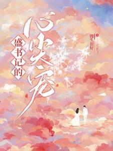 盛书记的心尖宠 盛怀安