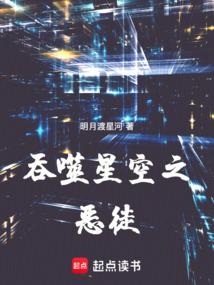 吞噬星空之恶徒全文免费阅读