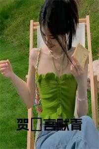 男主角叫贺言的