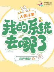 我的系统去哪了花开雪影免