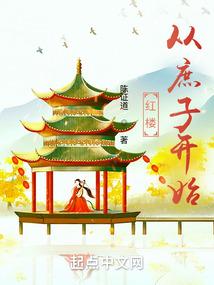 红楼从庶子开始笔趣