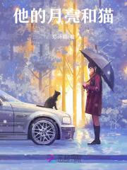 猫和月亮的关系