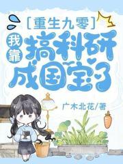 重生九零之我靠科研暴富了