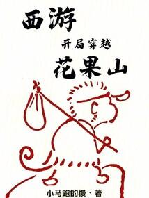 成为花果山顽石