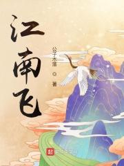 江南飞机场是哪里