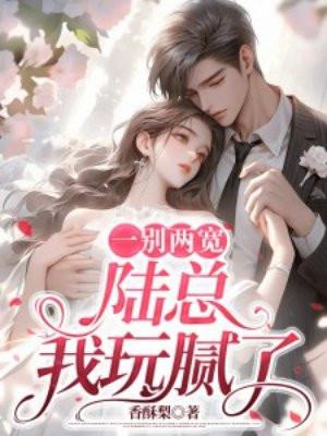 一别两宽陆总我玩腻了
