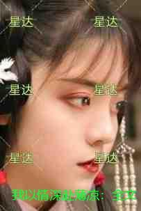 我以情深辞旧爱免费阅读