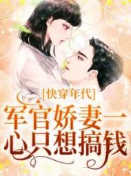 主角叫向南的都市