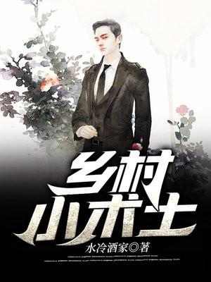 乡村小术士清风在线阅读