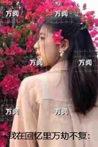 我在回忆里等你百科